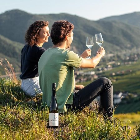Winzerhof&Gästehaus Bernhard Weißenkirchen in der Wachau Exterior foto